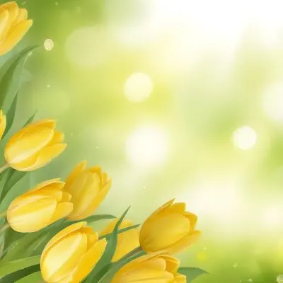 Yellow Tulips With Green Leaves In The Right Corner Bokeh Effect Bright Light In The Upper Right Corner Spring Background 71 3758