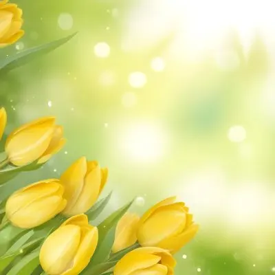 Yellow Tulips With Green Leaves In The Right Corner Bokeh Effect Bright Light In The Upper Right Corner Spring Background 77 0eb2
