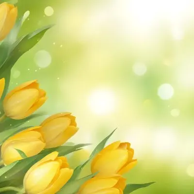 Yellow Tulips With Green Leaves In The Right Corner Bokeh Effect Bright Light In The Upper Right Corner Spring Background 81 8afd