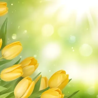 Yellow Tulips With Green Leaves In The Right Corner Bokeh Effect Bright Light In The Upper Right Corner Spring Background 82 C5d8