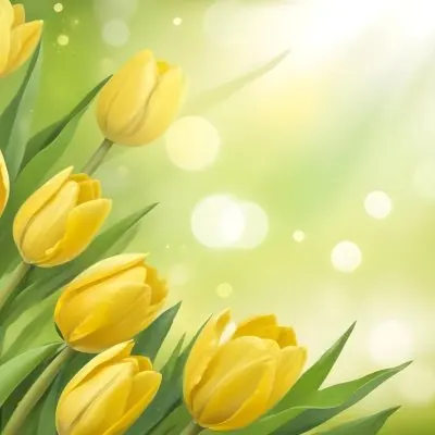Backgrounds Textures