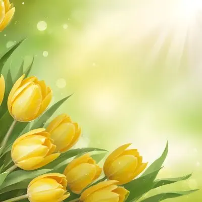 Yellow Tulips With Green Leaves In The Right Corner Bokeh Effect Bright Light In The Upper Right Corner Spring Background 99 C2f7