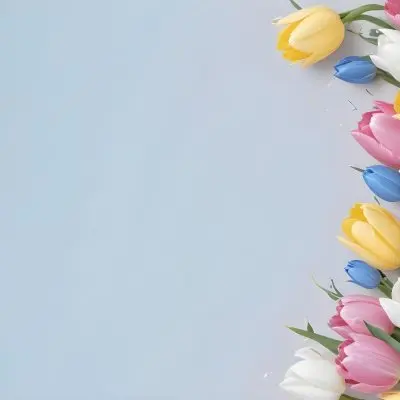 Yellow White And Blue Tulips And Lisianthus Flowers On The Right Side Of A Pink Background 10 B80e