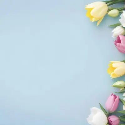 Yellow White And Blue Tulips And Lisianthus Flowers On The Right Side Of A Pink Background 5 2543