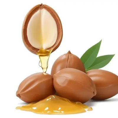 A Close Up Of Several Argan Nuts With Cracked Shells Revealing The Golden Argan Oil Inside The Argan Nuts Are Surrounded By Green Leaves Highlighting The Natural Setting 13 535a