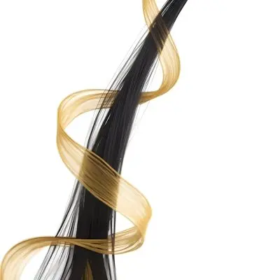 A Close Up View Of A Black Hair Strand Intertwined With Golden Strands Creating A Swirling Abstract Pattern Against A Black Background 2 D901