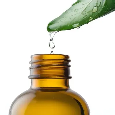 A Drop Of Water Falling From A Green Leaf Into A Green Glass Bottle White Background 1 C2dd