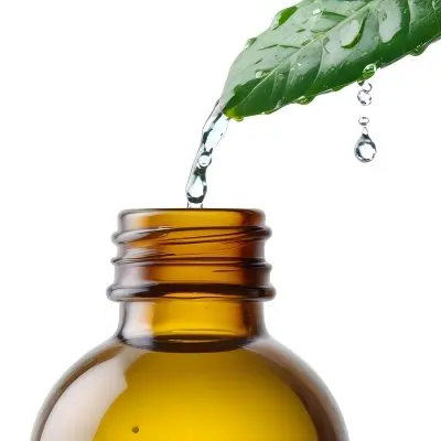 A Drop Of Water Falling From A Green Leaf Into A Green Glass Bottle White Background 12 E07f