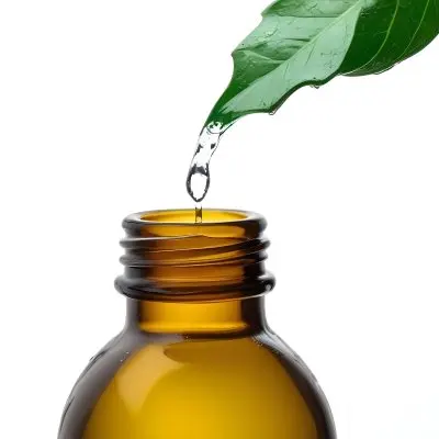 A Drop Of Water Falling From A Green Leaf Into A Green Glass Bottle White Background 13 F35d