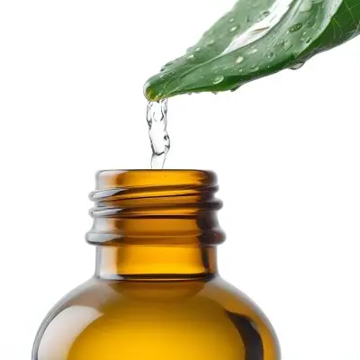 A Drop Of Water Falling From A Green Leaf Into A Green Glass Bottle White Background 2 A731