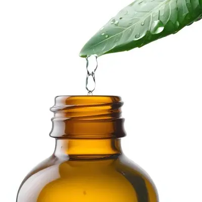 A Drop Of Water Falling From A Green Leaf Into A Green Glass Bottle White Background 23 46e3