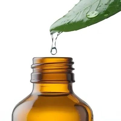 A Drop Of Water Falling From A Green Leaf Into A Green Glass Bottle White Background 31 F840