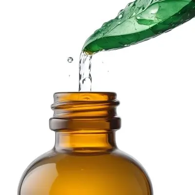 A Drop Of Water Falling From A Green Leaf Into A Green Glass Bottle White Background 32 7ab3