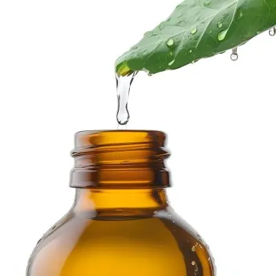 A Drop Of Water Falling From A Green Leaf Into A Green Glass Bottle White Background 6 6e85