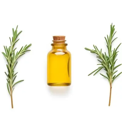 A Glass Bottle Filled With Yellow Essential Oil Surrounded By Sprigs Of Rosemary On A White Background 17 A9d1