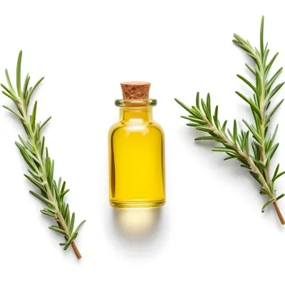 A Glass Bottle Filled With Yellow Essential Oil Surrounded By Sprigs Of Rosemary On A White Background 22 Fcf4