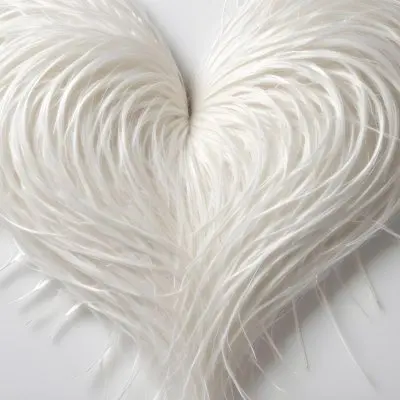 A Heart Shape Made Of White Hair Strands The Hair Is Shiny And Healthy The Background Is Plain White Studio Shot 1 Ca54