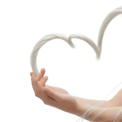 A Heart Shape Made Of White Hair Strands The Hair Is Shiny And Healthy The Background Is Plain White Studio Shot 7 Fd20