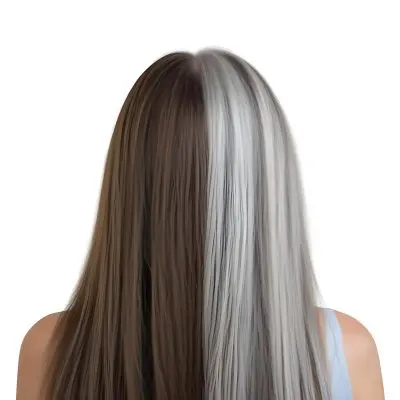 A Middle Aged Caucasian Woman With Long Straight Brown And Gray Hair 28 1742