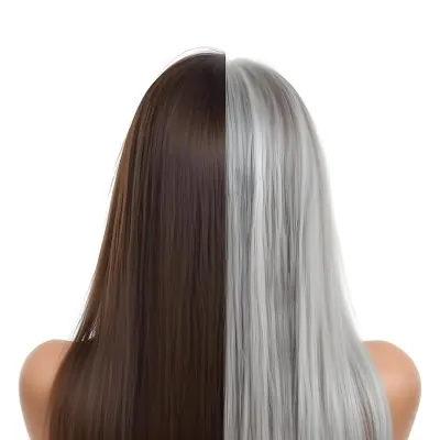 A Middle Aged Caucasian Woman With Long Straight Brown And Gray Hair 33 Fc2e