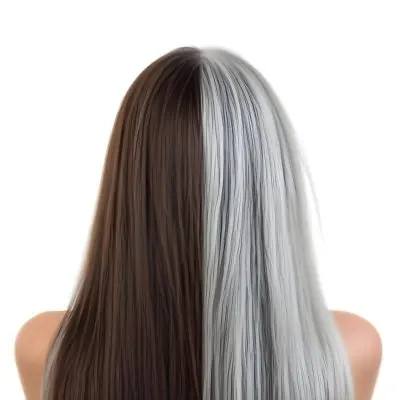A Middle Aged Caucasian Woman With Long Straight Brown And Gray Hair 4 17c1