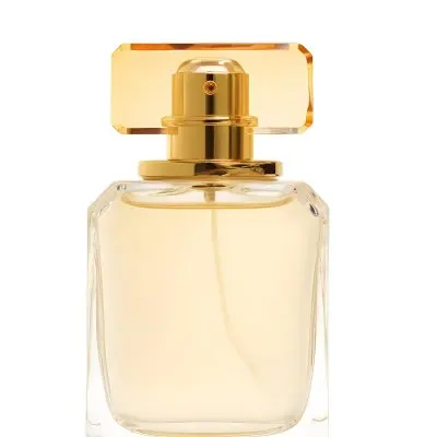 A Perfume Bottle With A Transparent Cap And A Transparent Glass Body The Background Is Plain White 10 E169