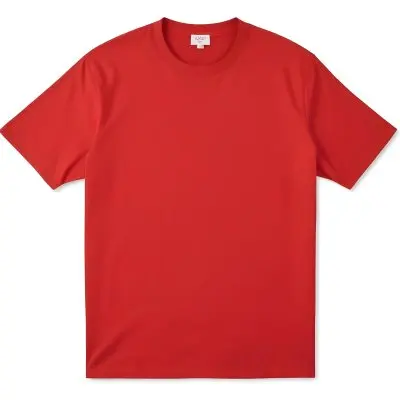 A Red Cotton T Shirt With Short Sleeves Round Neck And A Relaxed Fit Laid Flat On A White Background Showcasing Its Simple Design And Vibrant Color 24 5eb9