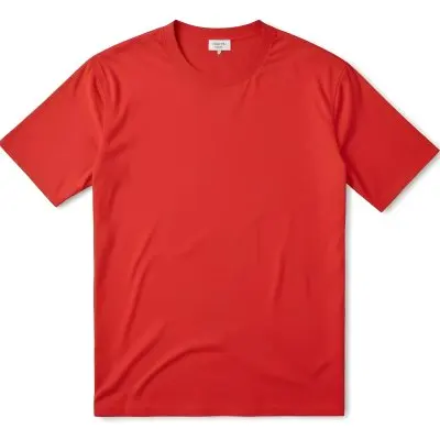 A Red Cotton T Shirt With Short Sleeves Round Neck And A Relaxed Fit Laid Flat On A White Background Showcasing Its Simple Design And Vibrant Color 31 0008