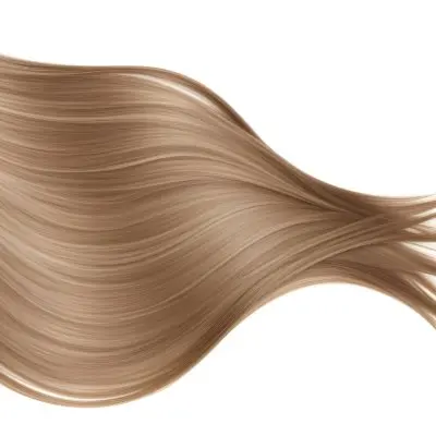 A Strand Of Long Wavy Light Brown Hair With Subtle Highlights Flowing And Curving Against A Plain White Background Showcasing Its Texture And Color 25 9661