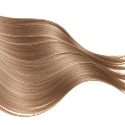 A Strand Of Long Wavy Light Brown Hair With Subtle Highlights Flowing And Curving Against A Plain White Background Showcasing Its Texture And Color 31 E179