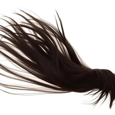 A Strand Of Long White Hair With Individual Strands Fanning Out Against A Stark White Background 12 23d4