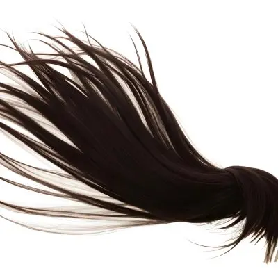 A Strand Of Long White Hair With Individual Strands Fanning Out Against A Stark White Background 18 2eb2