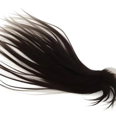 A Strand Of Long White Hair With Individual Strands Fanning Out Against A Stark White Background 28 5e0f