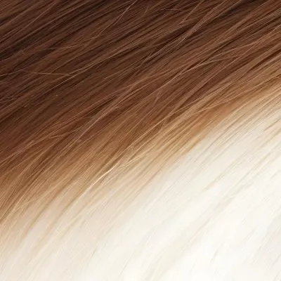 Brown And Blonde Hair Strands With A Gradient Effect Transitioning From Dark Brown At The Top To Light Blonde At The Bottom 26 09d3