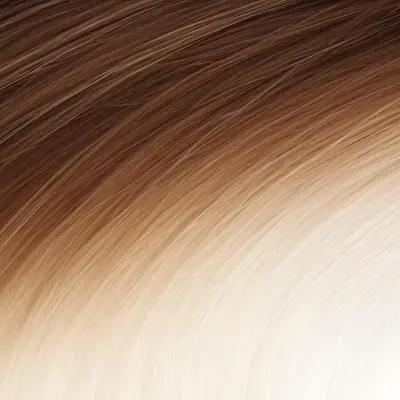 Brown And Blonde Hair Strands With A Gradient Effect Transitioning From Dark Brown At The Top To Light Blonde At The Bottom 50 C8ea
