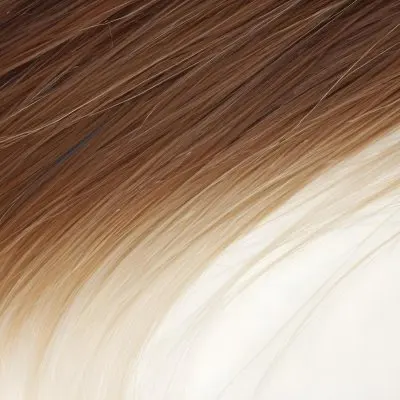 Brown And Blonde Hair Strands With A Gradient Effect Transitioning From Dark Brown At The Top To Light Blonde At The Bottom 8 28de