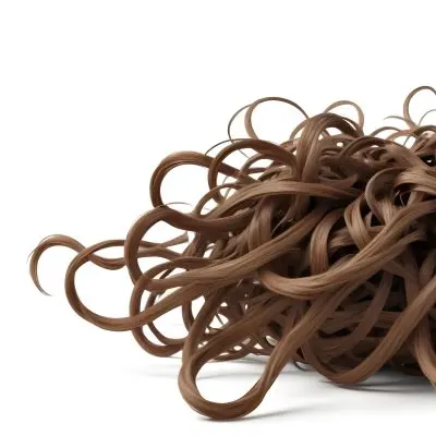 Brown Messy Hair Strands Light Brown And Dark Brown Tones Messy And Tangled Isolated On A White Background Studio Shot High Resolution 11 93e4