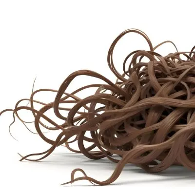 Brown Messy Hair Strands Light Brown And Dark Brown Tones Messy And Tangled Isolated On A White Background Studio Shot High Resolution 15 4471
