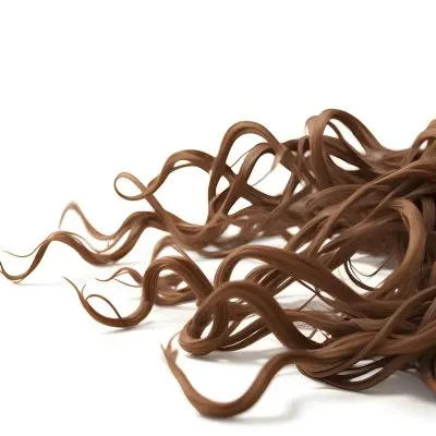 Brown Messy Hair Strands Light Brown And Dark Brown Tones Messy And Tangled Isolated On A White Background Studio Shot High Resolution 2 3a10