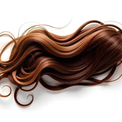 Brown Messy Hair Strands Light Brown And Dark Brown Tones Messy And Tangled Isolated On A White Background Studio Shot High Resolution 32 3587