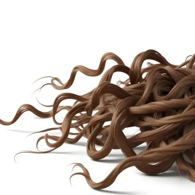 Brown Messy Hair Strands Light Brown And Dark Brown Tones Messy And Tangled Isolated On A White Background Studio Shot High Resolution 6 9dd6