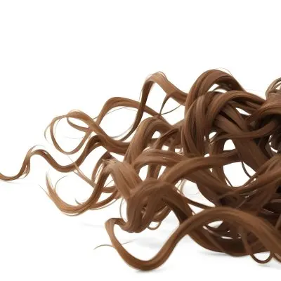 Brown Messy Hair Strands Light Brown And Dark Brown Tones Messy And Tangled Isolated On A White Background Studio Shot High Resolution 8 Fcd6