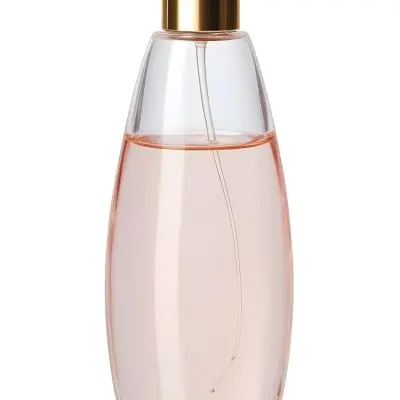 Digital Painting A Perfume Bottle With A Golden Cap And A Transparent Body Filled With A Light Pink Liquid Isolated On A White Background Bold And Slim Lines Brush Strokes 22 6867