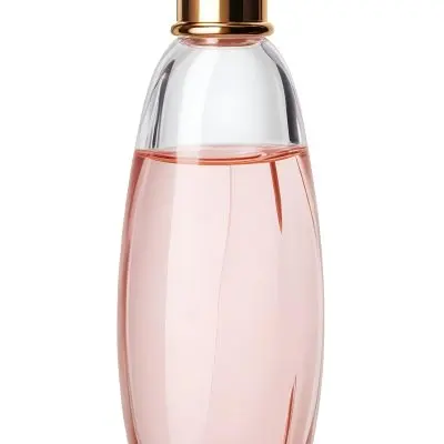 Digital Painting A Perfume Bottle With A Golden Cap And A Transparent Body Filled With A Light Pink Liquid Isolated On A White Background Bold And Slim Lines Brush Strokes 26 E804