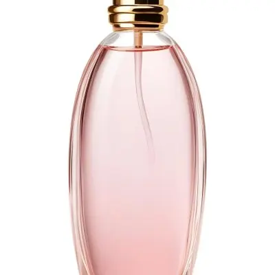 Digital Painting A Perfume Bottle With A Golden Cap And A Transparent Body Filled With A Light Pink Liquid Isolated On A White Background Bold And Slim Lines Brush Strokes 28 64aa