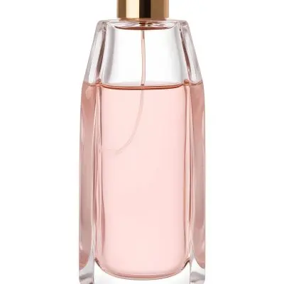 Digital Painting A Perfume Bottle With A Golden Cap And A Transparent Body Filled With A Light Pink Liquid Isolated On A White Background Bold And Slim Lines Brush Strokes 59 0314