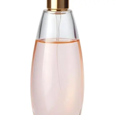 Digital Painting A Perfume Bottle With A Golden Cap And A Transparent Body Filled With A Light Pink Liquid Isolated On A White Background Bold And Slim Lines Brush Strokes 6 Cb7f