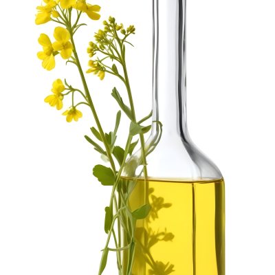 Rapeseed Oil In A Glass Bottle With A Thin Neck Tied With A String Next To A Rapeseed Flower On A White Background 16 3a0c