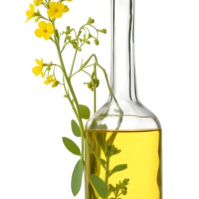 Rapeseed Oil In A Glass Bottle With A Thin Neck Tied With A String Next To A Rapeseed Flower On A White Background 21 63ef