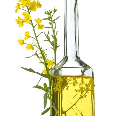 Rapeseed Oil In A Glass Bottle With A Thin Neck Tied With A String Next To A Rapeseed Flower On A White Background 31 C04e